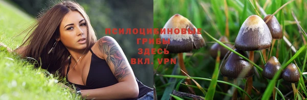 меф Михайловск