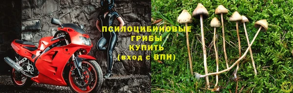 меф Михайловск