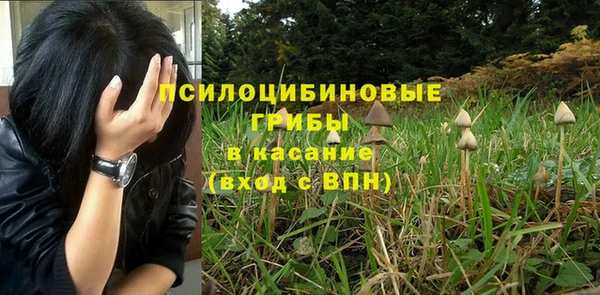 меф Михайловск