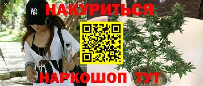 дурь Будённовск