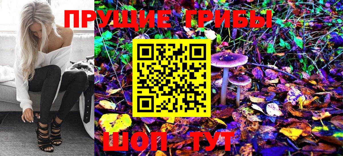 Псилоцибиновые грибы Cubensis  Галлюциногенные грибы Psilocybine cubensis  Вход с VPN  Воткинск 