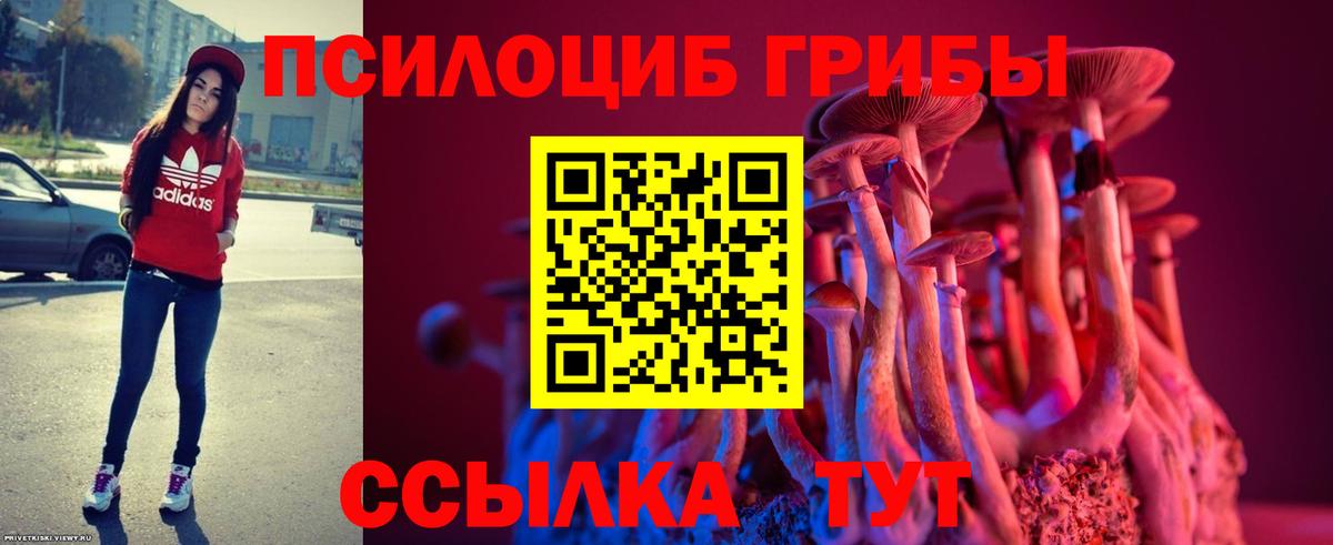 Псилоцибиновые грибы MAGIC MUSHROOMS Воткинск